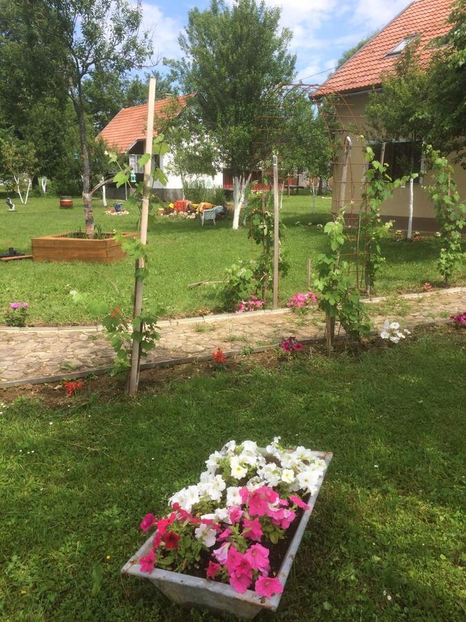 Apartments Eco Forest Resort Rakovica Luaran gambar